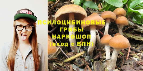 spice Зерноград