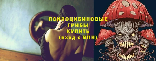 спиды Зеленокумск