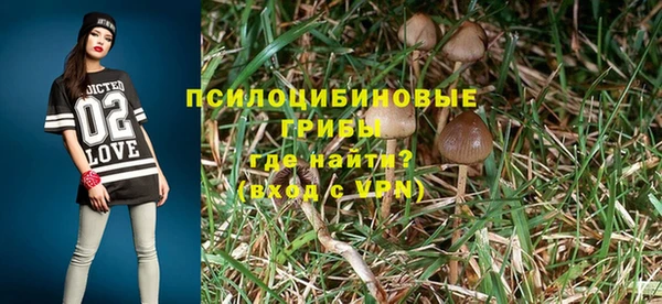 спиды Зеленокумск