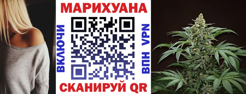 Каннабис OG Kush Калязин